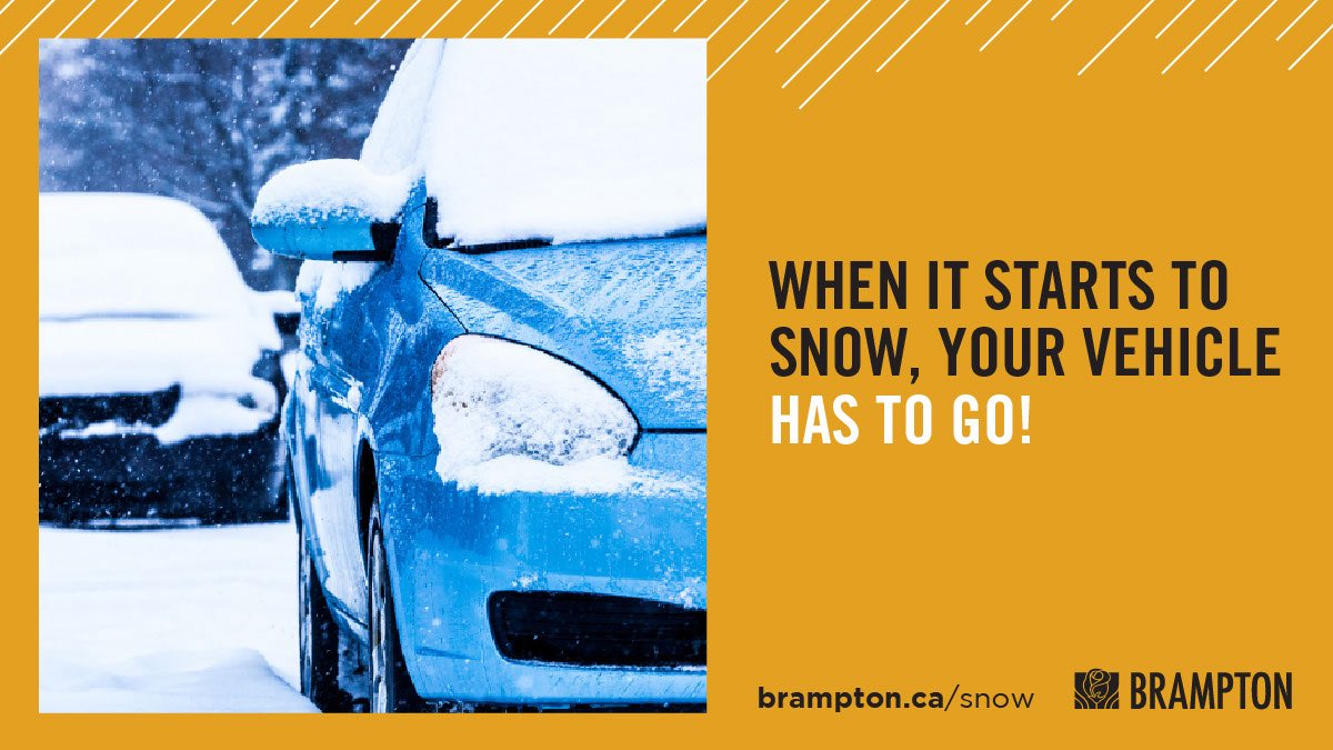 Patrick Brown tweet media