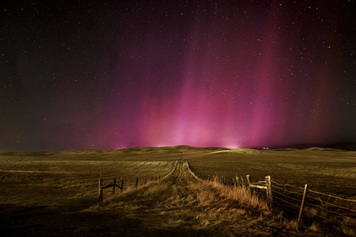 Lee Amber - Photography ☕️📸 tweet media