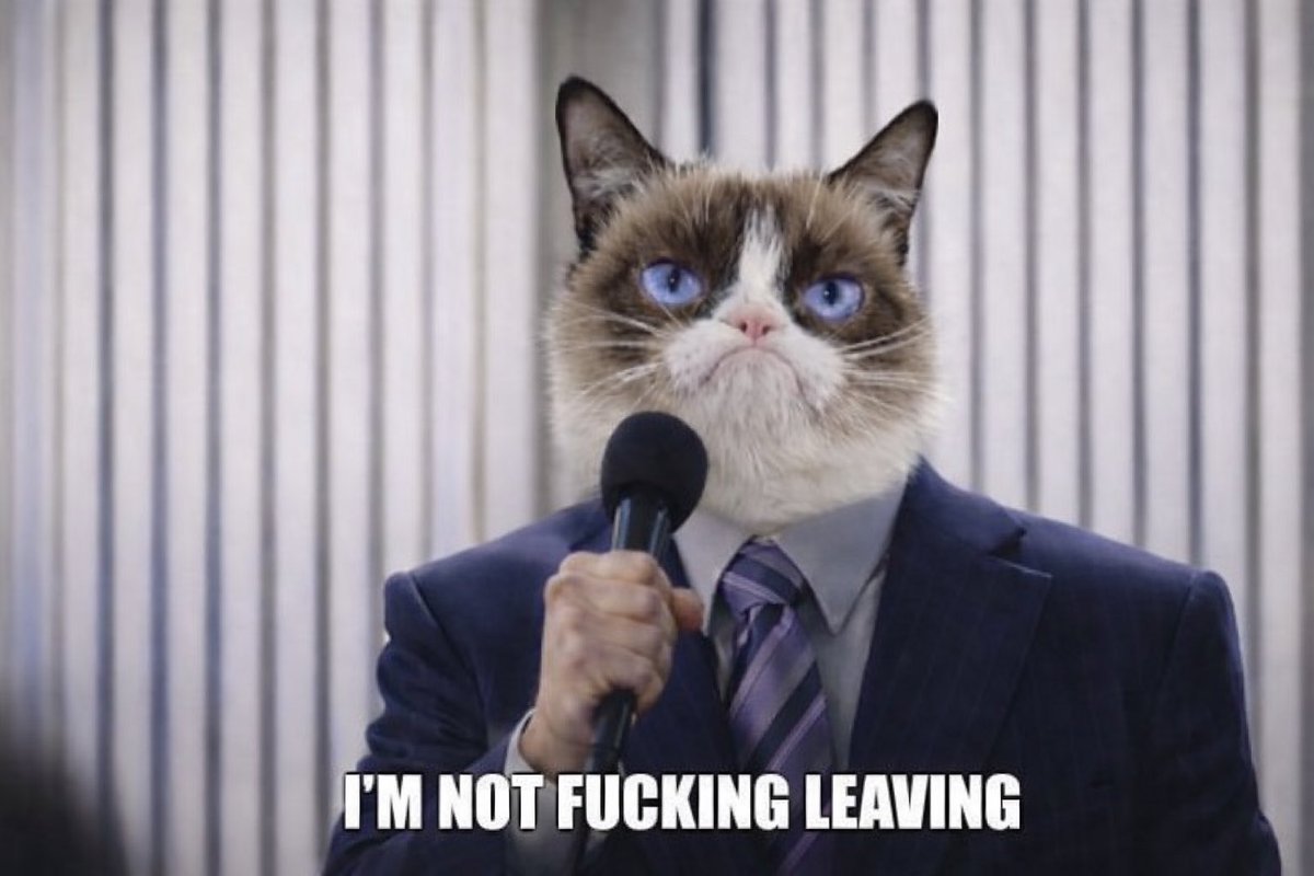 <a href="/fuelkek/">Fuel</a> Nah not $GrumpyCat.  We CTO’ed it before they can happen.   Best part is that the real owner of GrumpyCat still gets to collect the fees - over $40k so far! 
We will never stop working for Grumpy until we hit billions.   

6R7UD3L7qLvbWXSmjGmYABrMau3PfcNvQDYytG5SBAGS