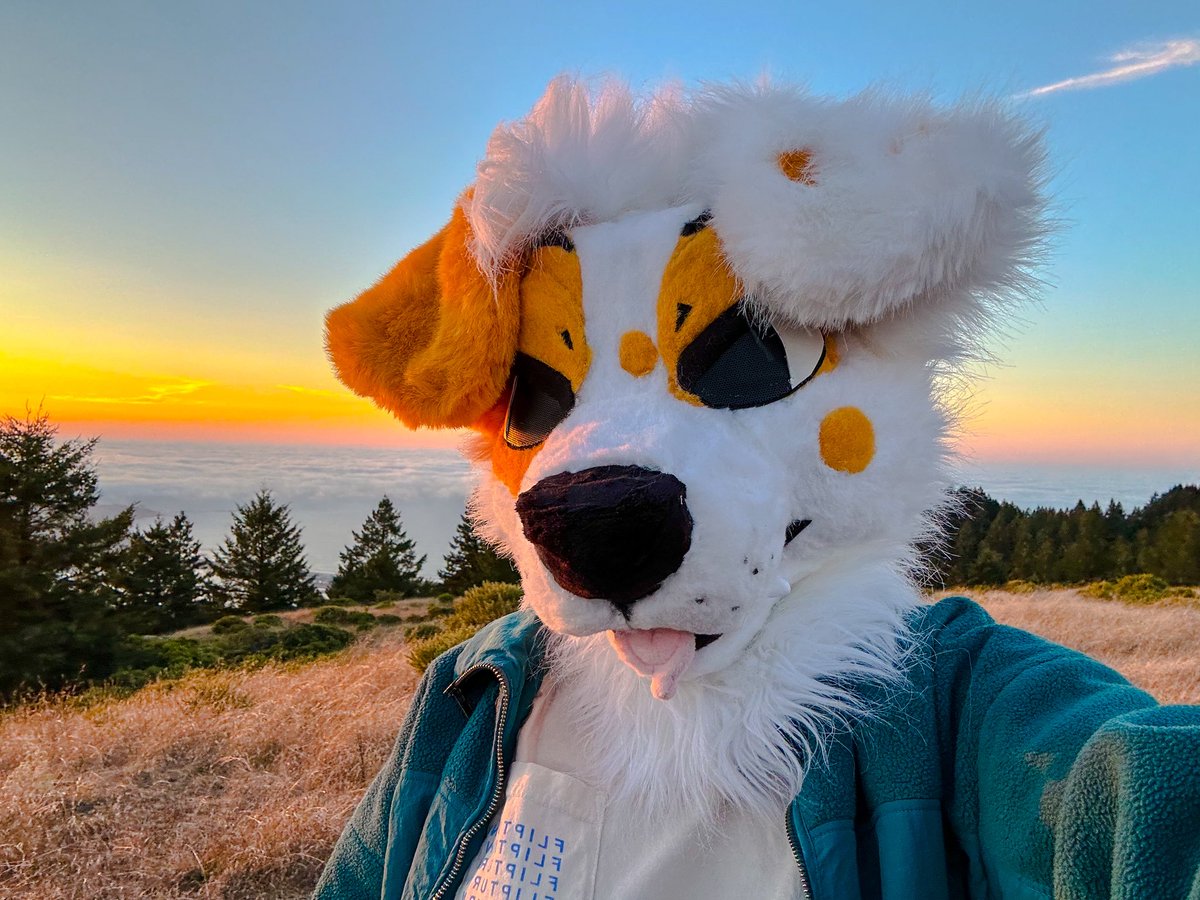 BABADOOF's tweet photo. entertaining offers for Stevie

i’m just not super connected to the character anymore and would love to put the money towards a new suit :) details below! https://t.co/g7EhQQToZH
