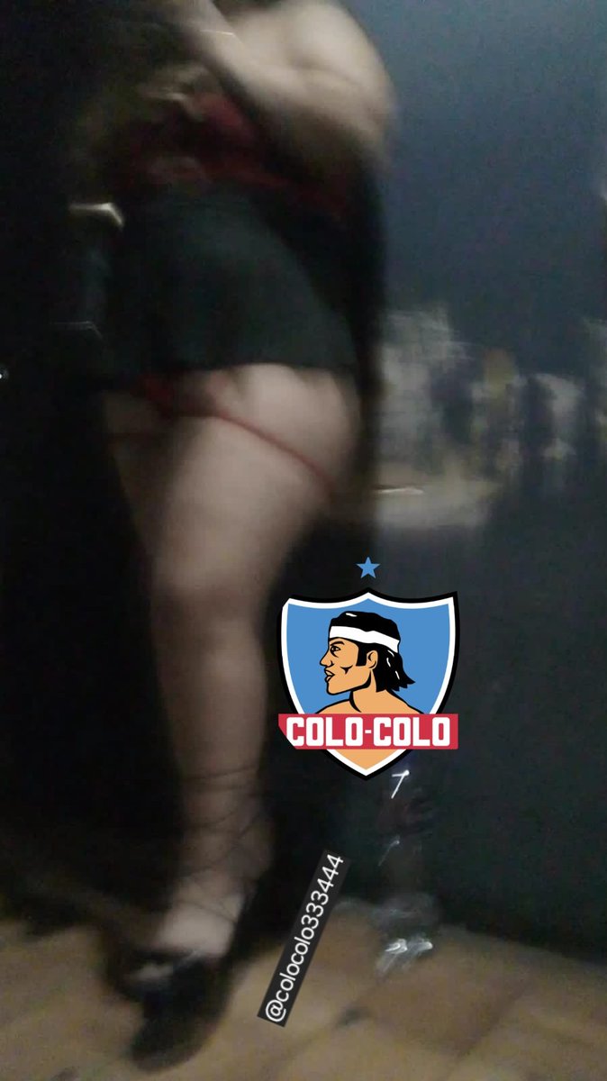 colocolito tweet media