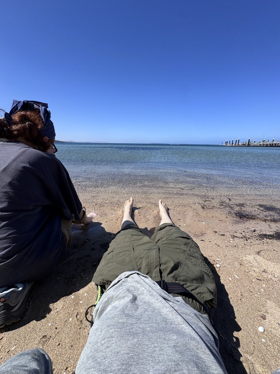 🍀wyan🍀 tweet media