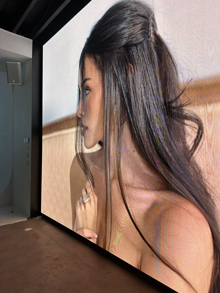 tommy🪽 tweet media