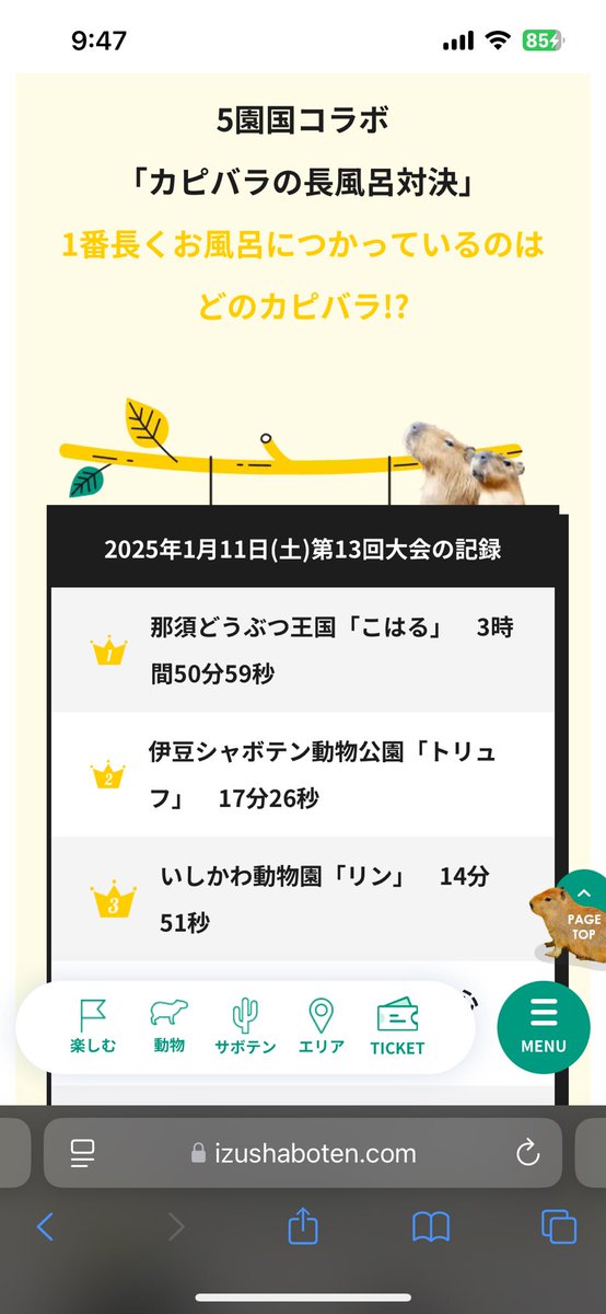 aitamati3's tweet photo. こはるすごくない⁉️ https://t.co/UDtkWXn2Ya