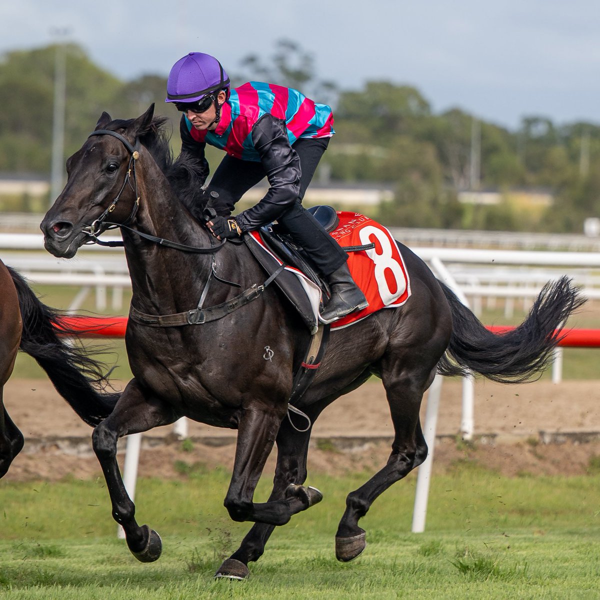 Gollan Racing tweet media