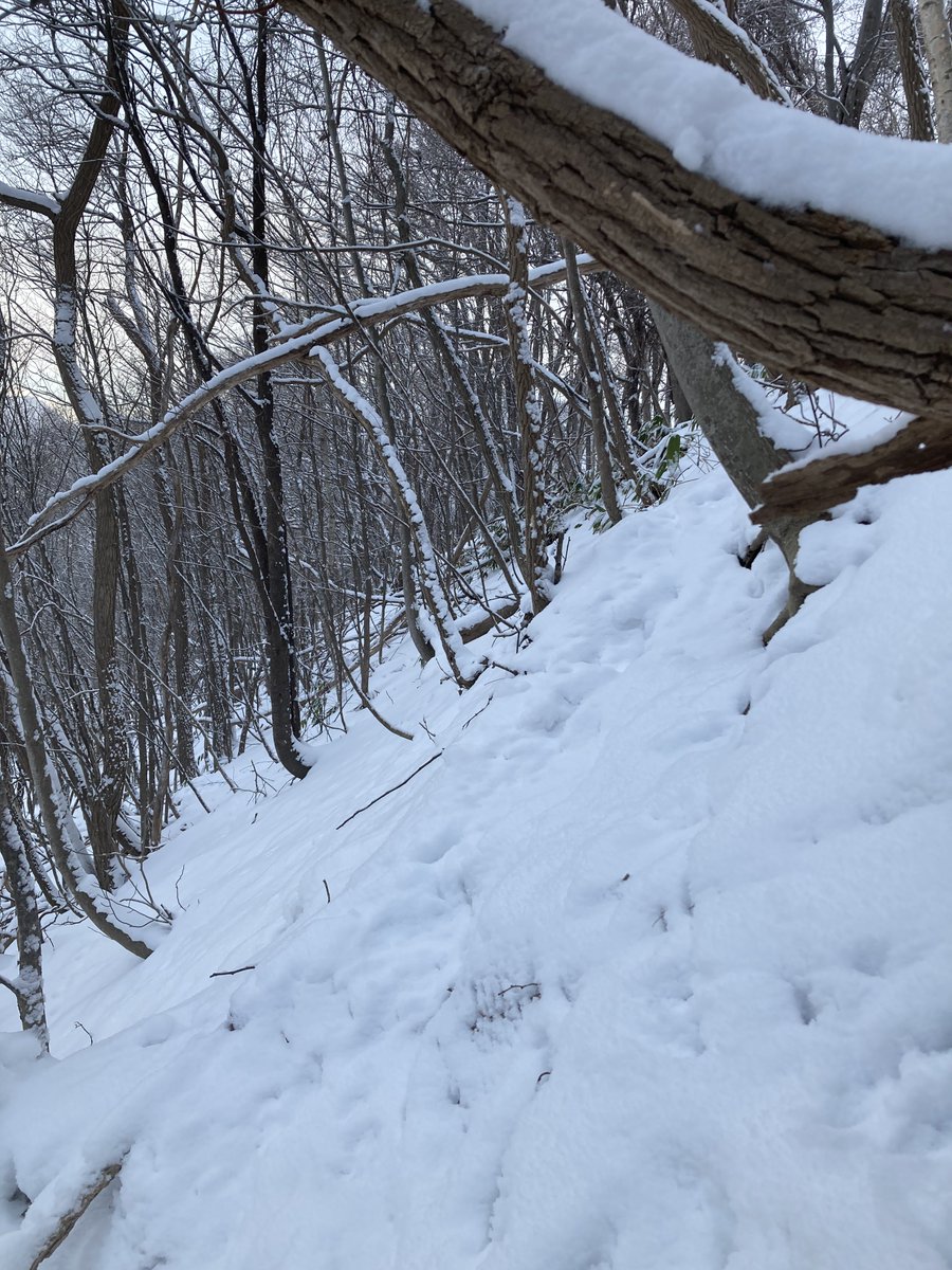 「雪かきしながらふとそういや登ったことないなと思ってそのまま散策してきたけど思った」|静寂もぐもぐのイラスト