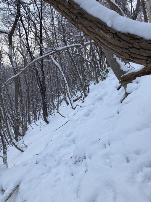 雪かきしながらふとそういや登ったことないなと思ってそのまま散策してきたけど思ったより急で心臓張り裂けるかと思った 四つん這いになりながら登った