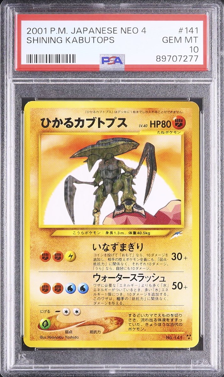 ✦ ─────────── ✦ 📸 本日のピックアップ