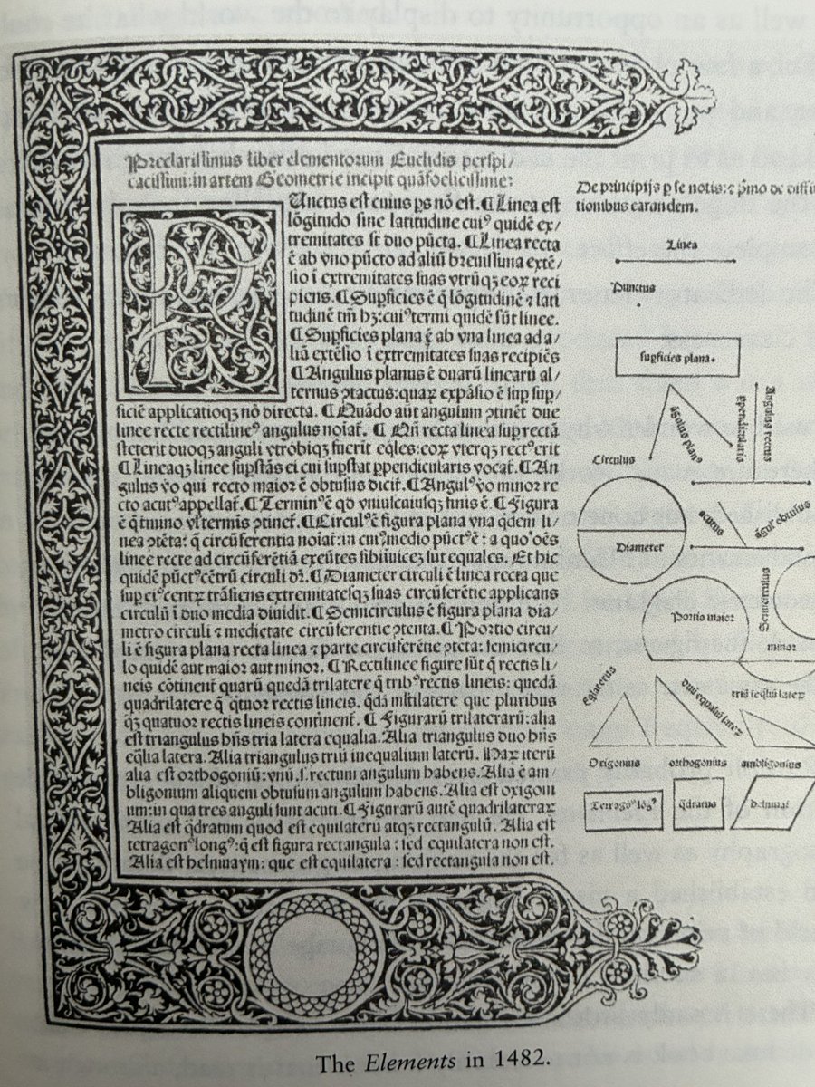 🐛brigid tweet media