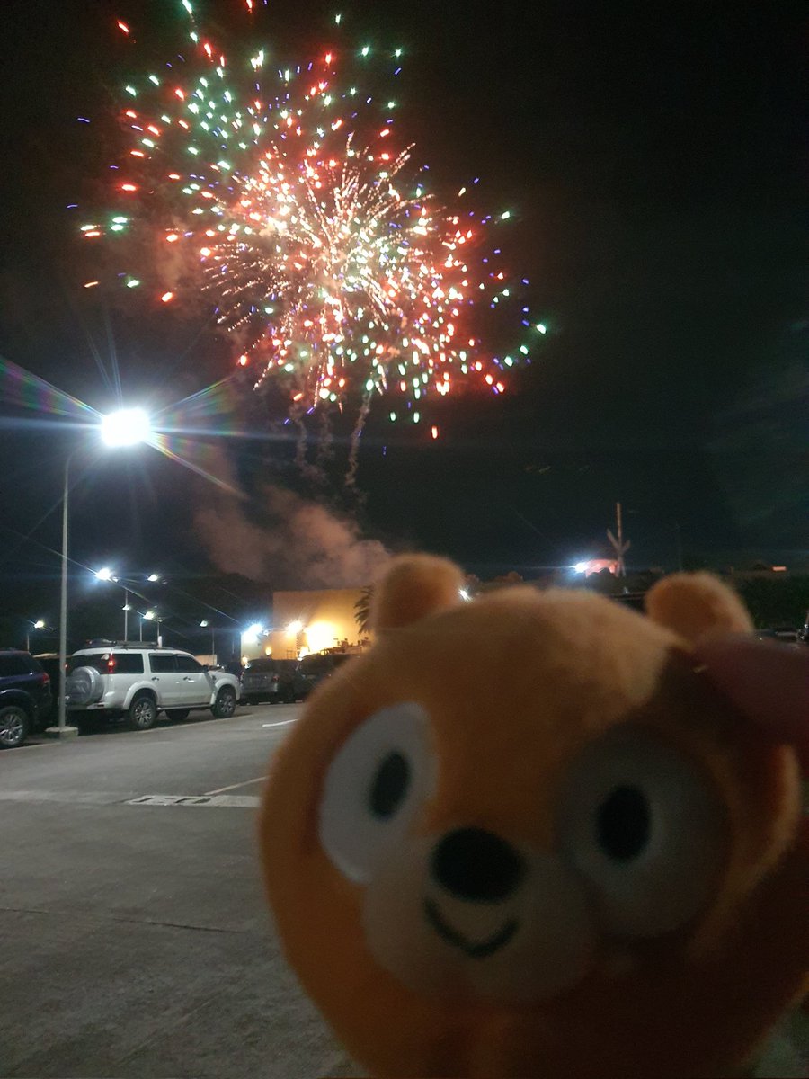 Daily Woff Migration ~○ tweet media