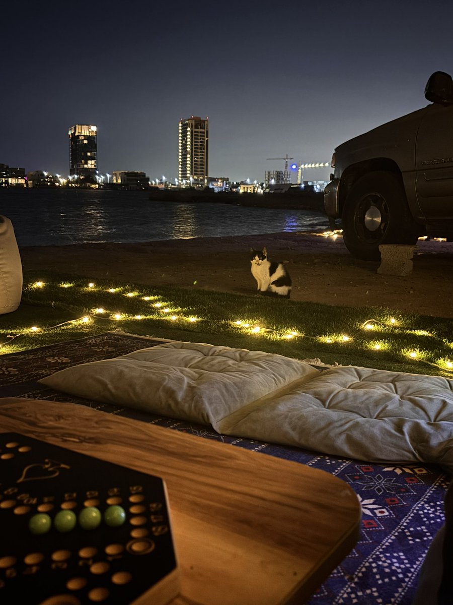 OnlyFLK's tweet image. 🤍