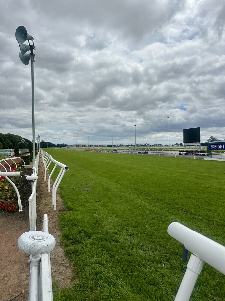 Riccarton Park in outstanding condition for Woodbourne Tavern &amp; Speight’s Timaru Stakes day on Saturday. 160 nominations. Tuesday going Good4, 2.6 penetrometer, 31.3% moisture reading. BUT, keep an eye on the weather forecast. Not the best with rain predicted from Wednesday.