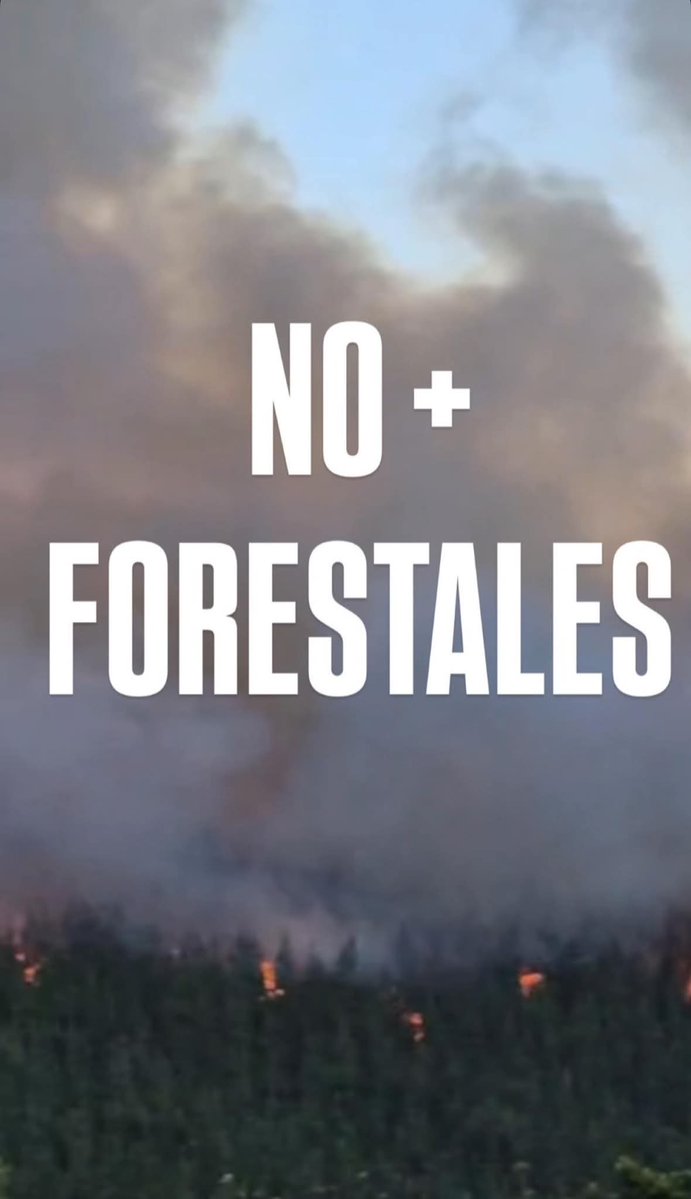 Carola Nuñez (@carolancocq) on Twitter photo 