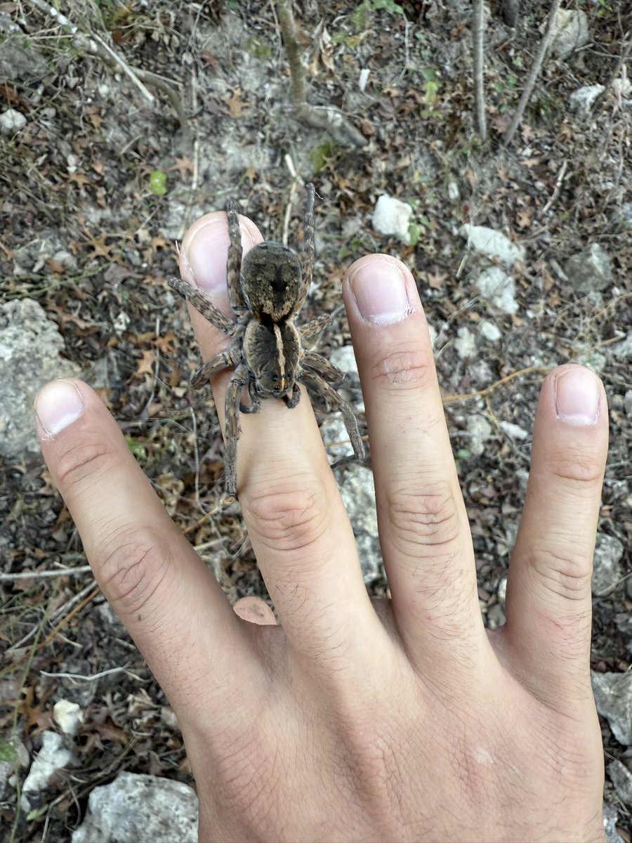 XxBugL0verxX's tweet image. Do you guys like my new ring