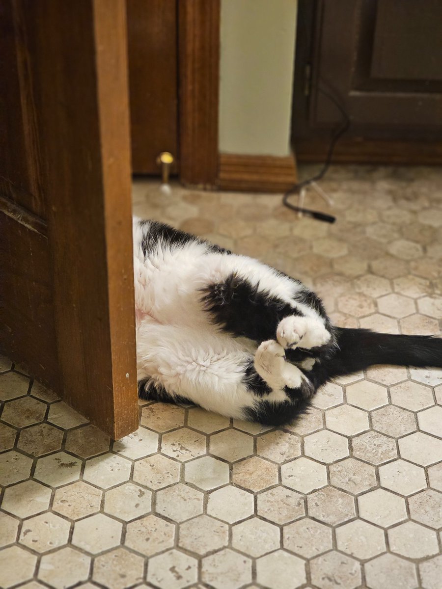 *ppprrrrt* <a href="/St_Rev/">St. Rev. Dr. Rev ⏭️☯️🏴😻</a>