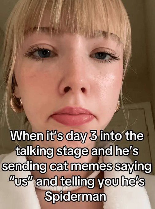 memes to save tweet media