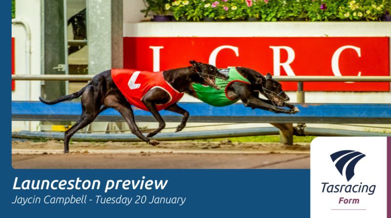 Tasracing Australia tweet media