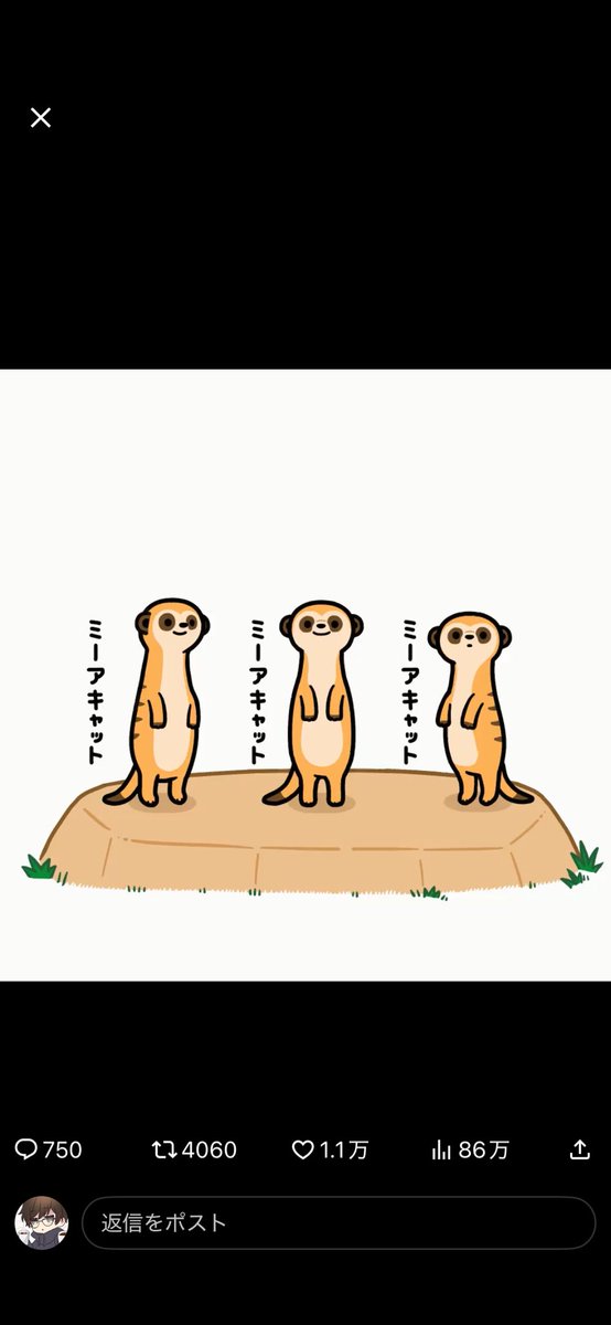 ぼんぼん (@bonbon7770429) / Posts / X