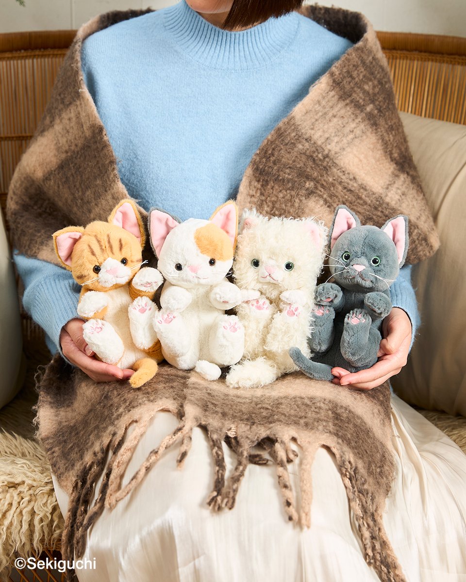 セキグチ公式オンラインショップ (@sekiguchi1918) / Posts / X