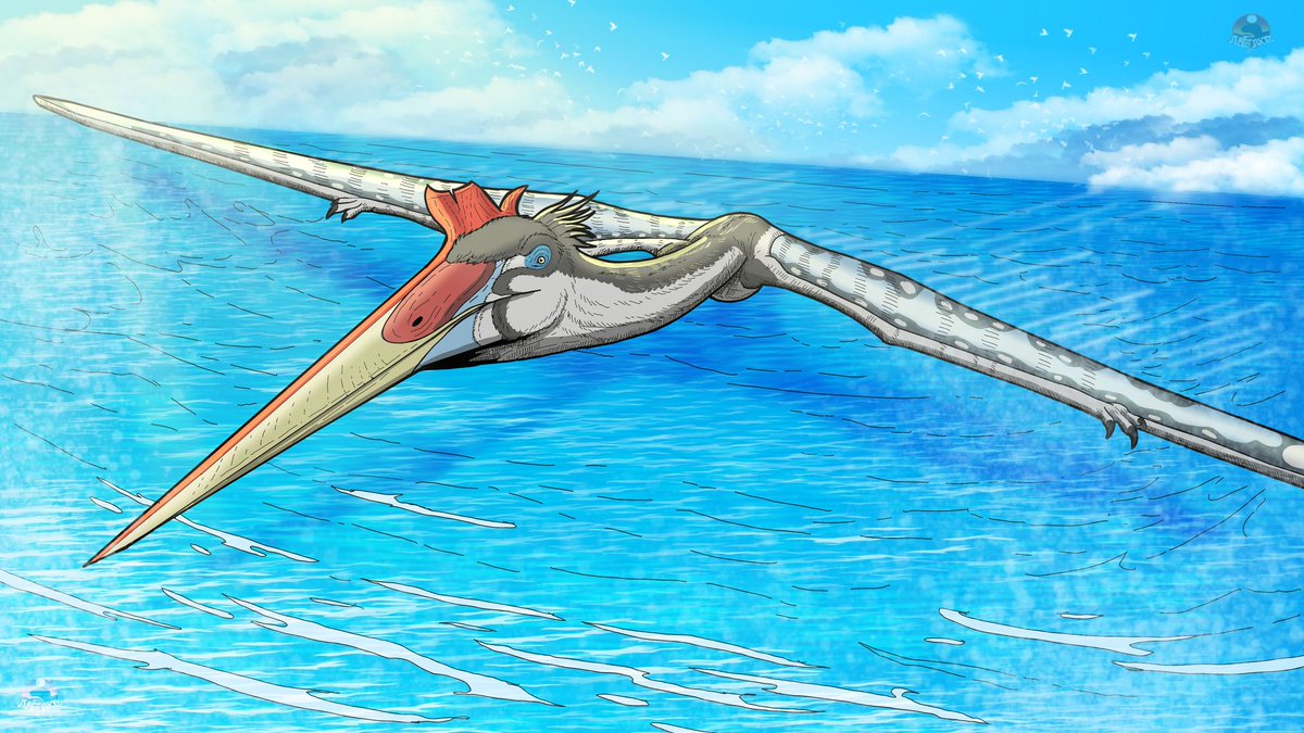 The Long Flight

#Quetzalcoatlus #Paleoart #Pterosaur #Azdarchid #Quetzalcoatlusnothropi