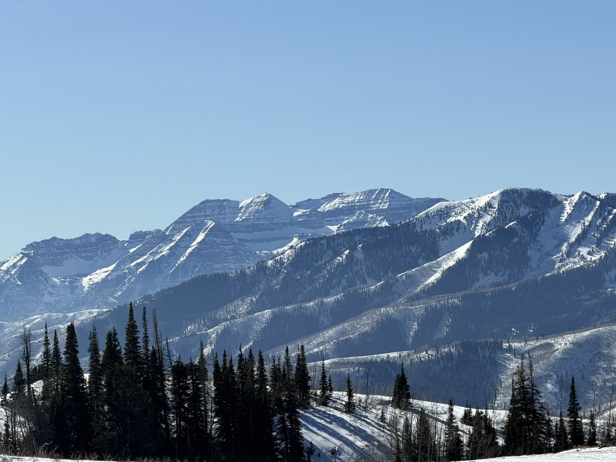 Danny Prevedello tweet media