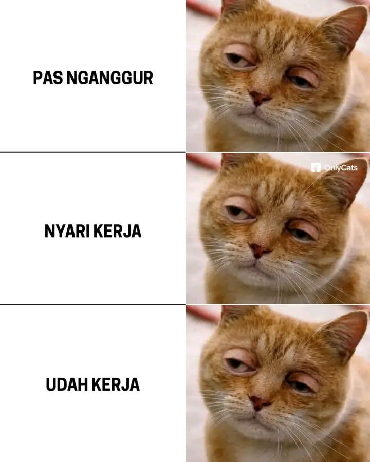 KucengTerbanggg's tweet image. Yes, ngantukan