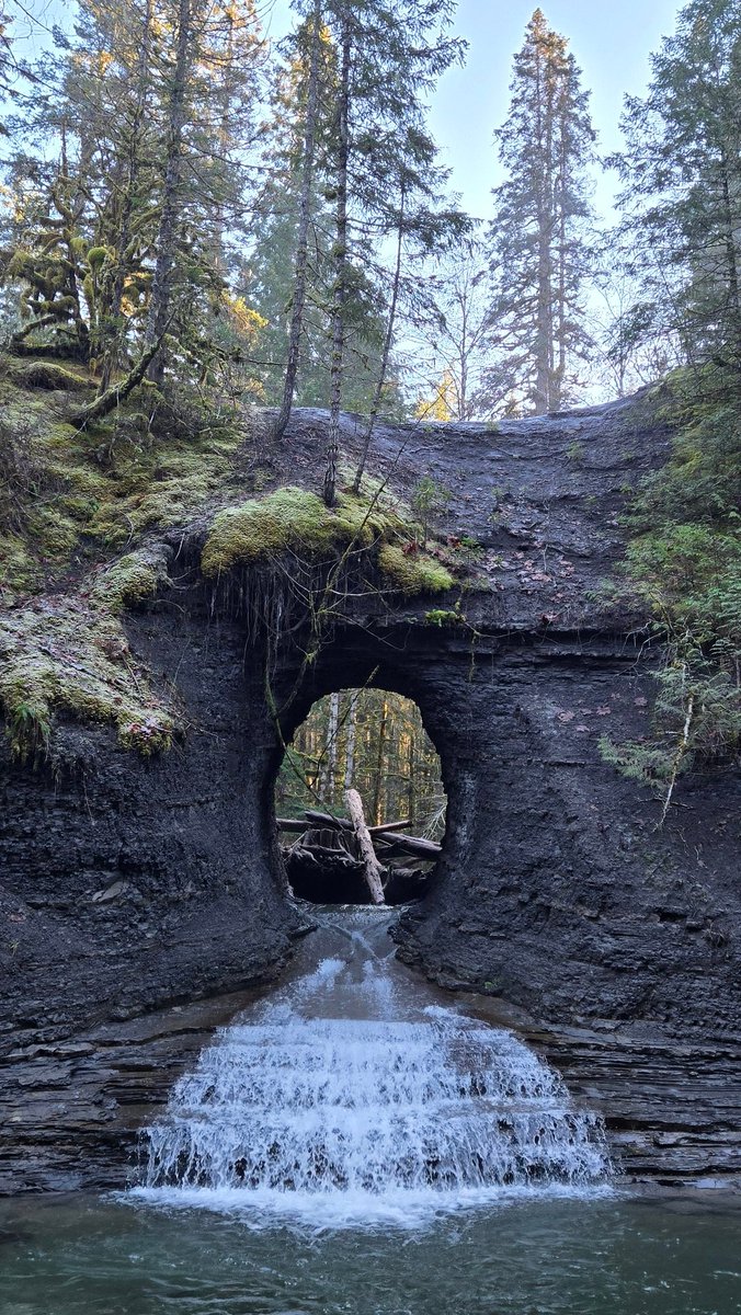 Mehr520's tweet photo. Hole in the Wall....Just a few kilometers east of Port Alberni, BC. Amazing view!
#PortAlberni #beautifulBC #Nature #fall https://t.co/ckSOYDHlTs