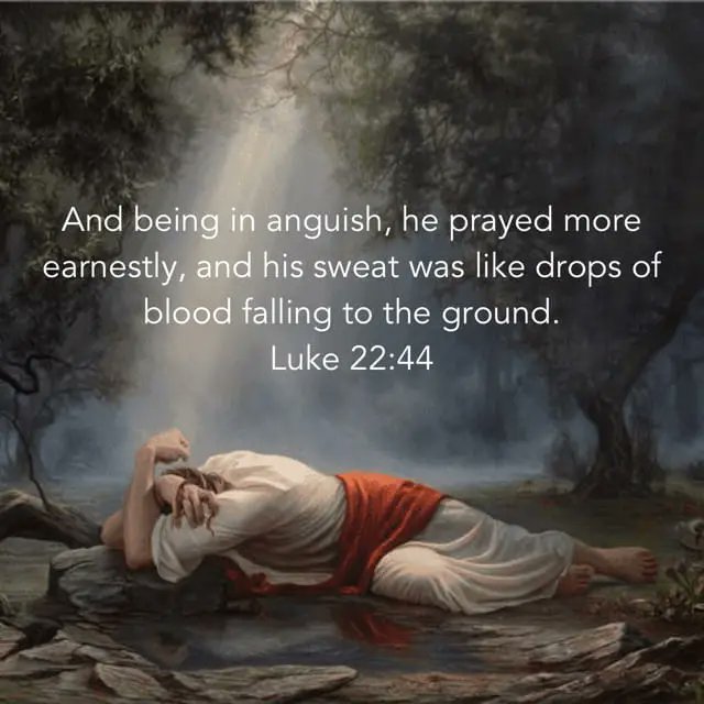 In the midst of overwhelming emotional suffering and pressure, Jesus looked to God with determination.

Holy God, may my resolve to release my emotional pressure and to seek You be as earnest as Jesus' prayer. Amen.