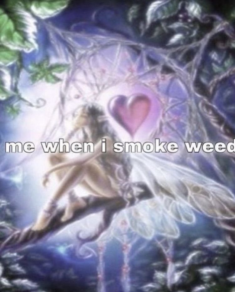 stonersvilla's tweet image. 