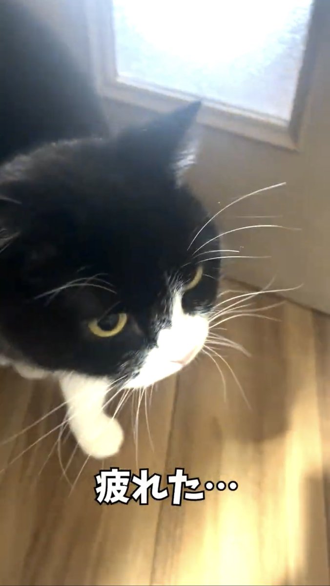 たろう (@taro20216) / Posts / X