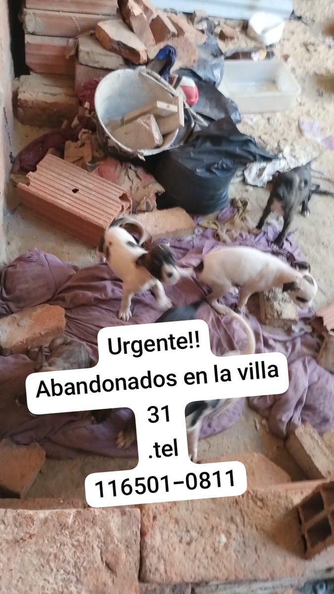 Rt
Máxima difusión