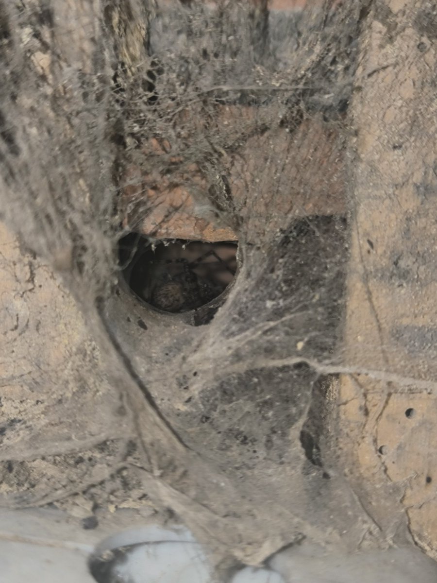 M había olvidao d subir fts d esta amigona