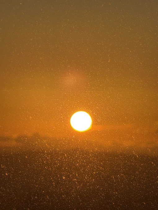 AlvionH61407's tweet image. Seeing a perfectly round first sunrise of the year is said to bring good luck ☀️✨
#FirstSunrise #NewYear #GoodLuck #Japan