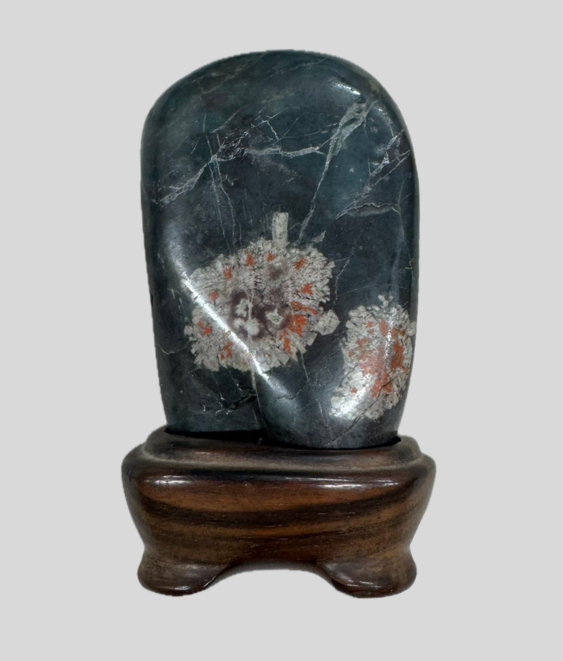 買取実績のご紹介：菊花石】 漆黒の母岩に鮮やかに菊文様が浮かび