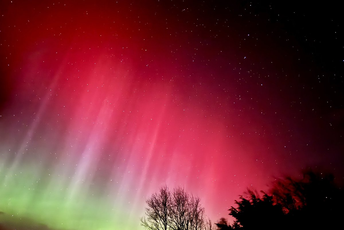 Rachel Cassidy tweet media