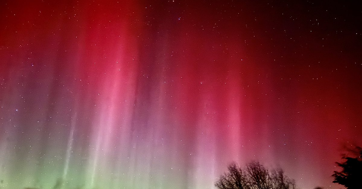 Rachel Cassidy tweet media