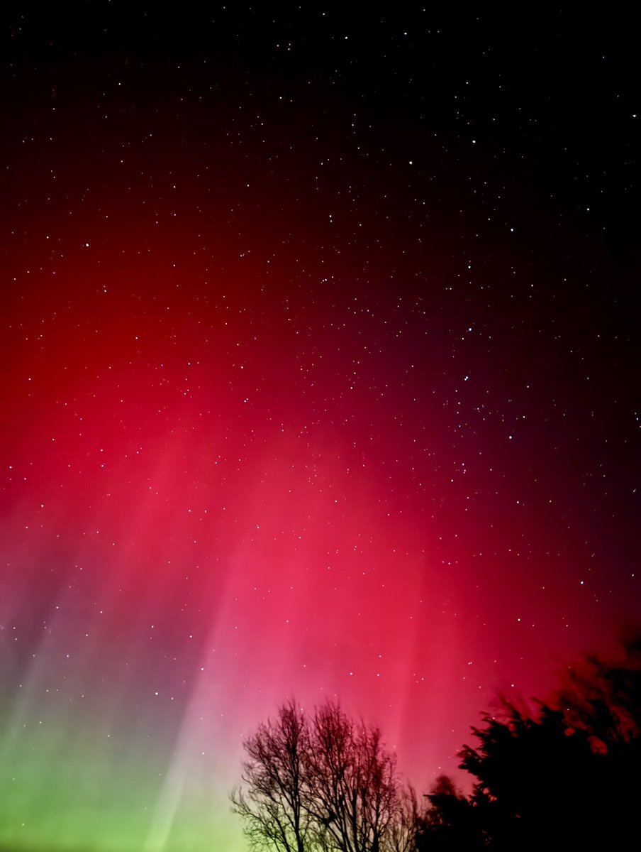 Rachel Cassidy tweet media