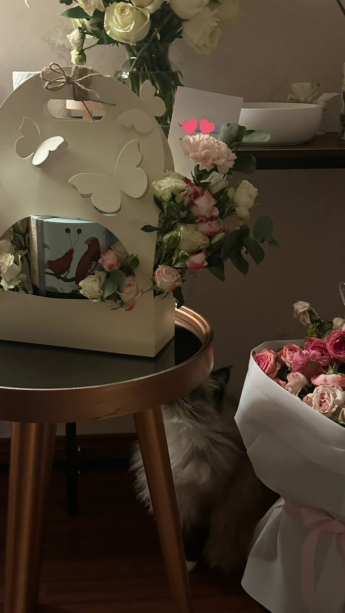 _tuuliip's tweet photo. 💗🌸 https://t.co/rqEYPSMdWV