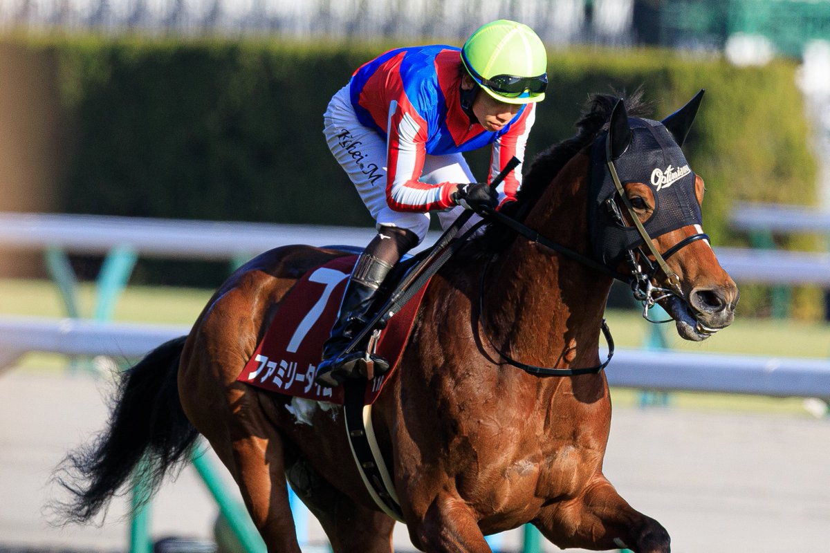 ゆず (@mame_yuzu_mamei) / Posts / X