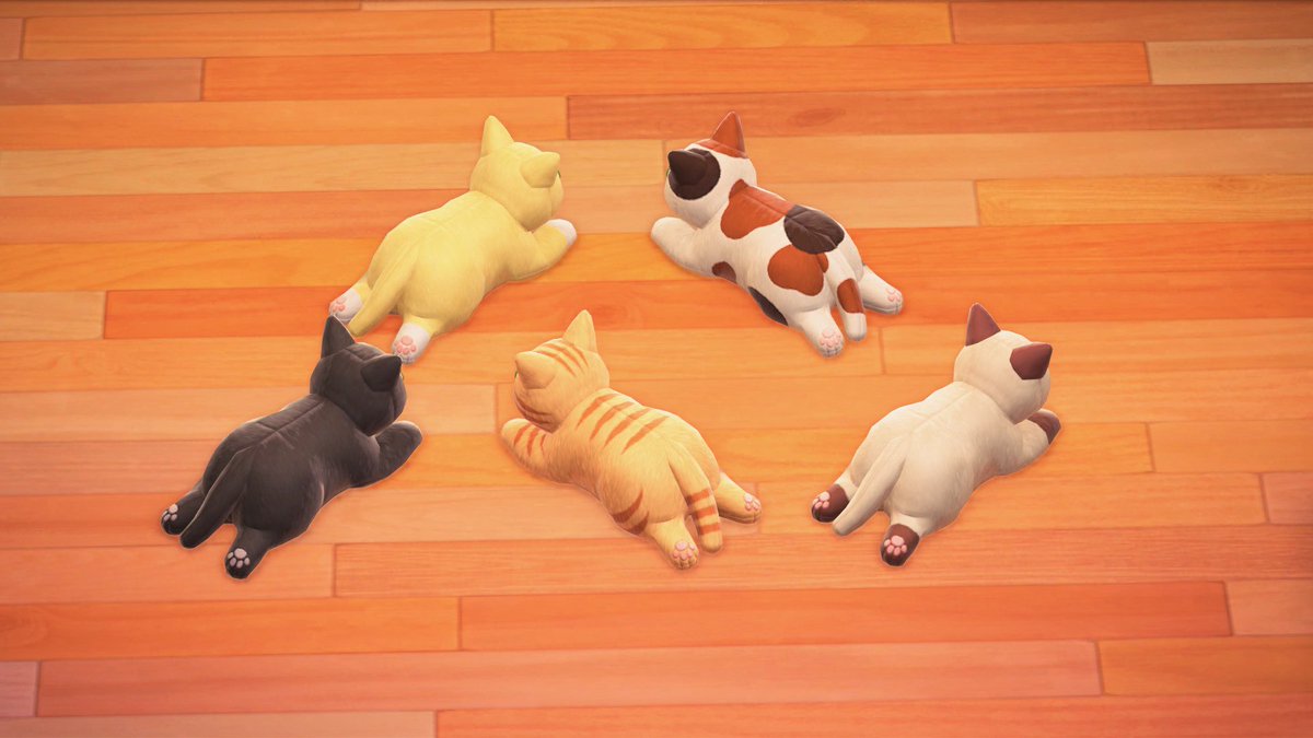 GabrielHorizons's tweet image. No thoughts just the cat plushies