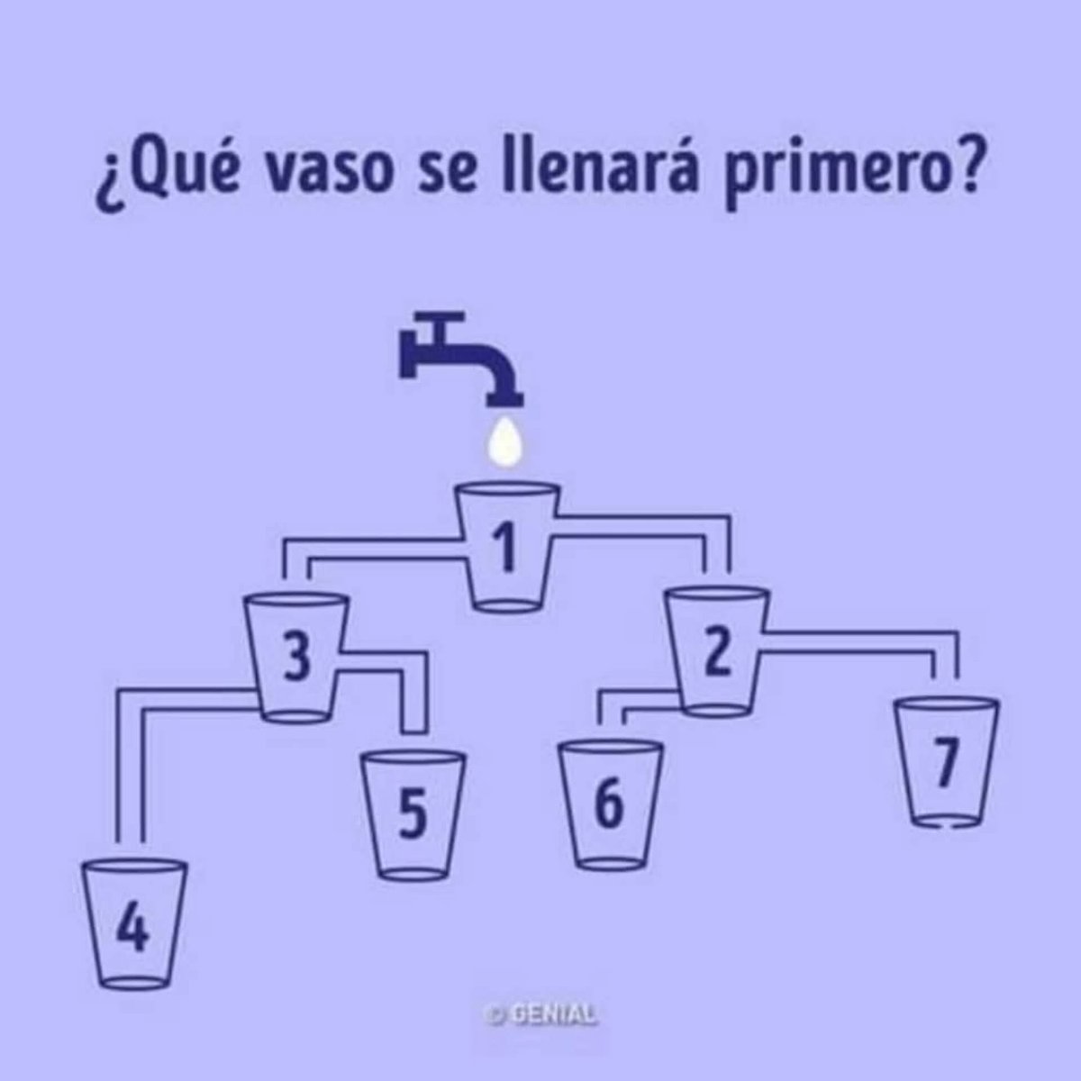 Suricato 💎 tweet media