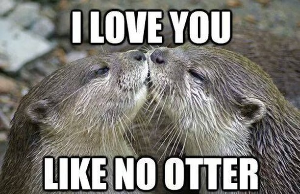 fan_club_otter's tweet photo. 🥹🥹🥹 https://t.co/u75H7BXKUA