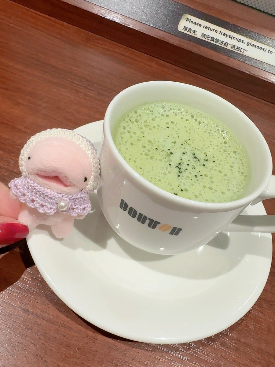 こむぎ (@xxkomugikoooxx) / Posts / X