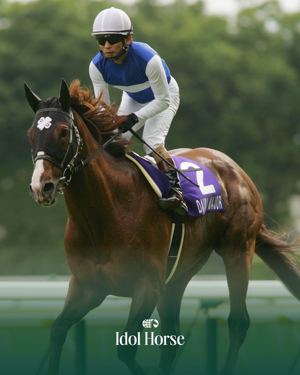 idolhorsedotcom's tweet image. 🇯🇵 G1・5勝、2年連続のJRA最優秀短距離馬、ダイワメジャーが亡くなりました。25歳でした。

現役時代は皐月賞、天皇賞秋を制し、そして春秋マイル制覇を達成。

種牡馬としてもアドマイヤマーズやレシステンシアを輩出し、現役時代と同様にマイル路線で存在感を放ちました。

#競馬 #ダイワメジャー