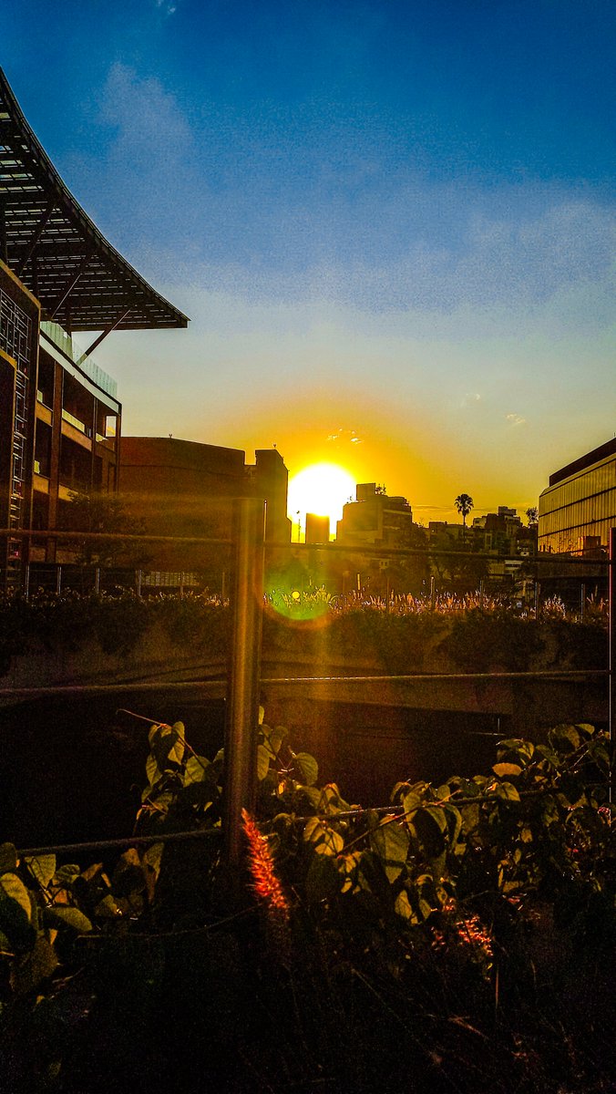 OscarPhotograp3's tweet photo. La luz se abre paso incluso entre las ramas.
Solo hay que estar listo para sentir el momento.
#OscarPhotographyEnPulso #LuzNatural #FotografiaUrbana #ColoresDelDia #VisionVisual https://t.co/XTIFZJT4kT