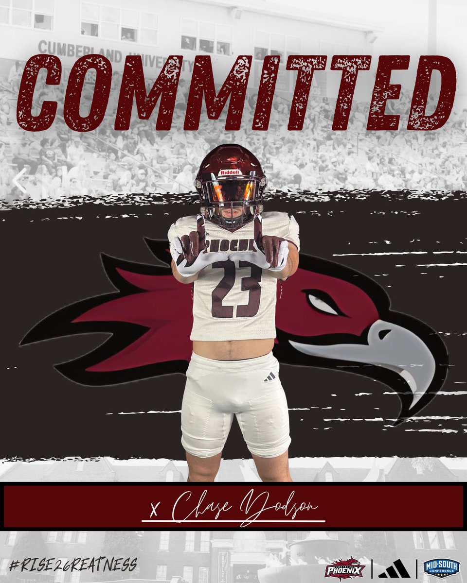 Chase Dodson tweet media