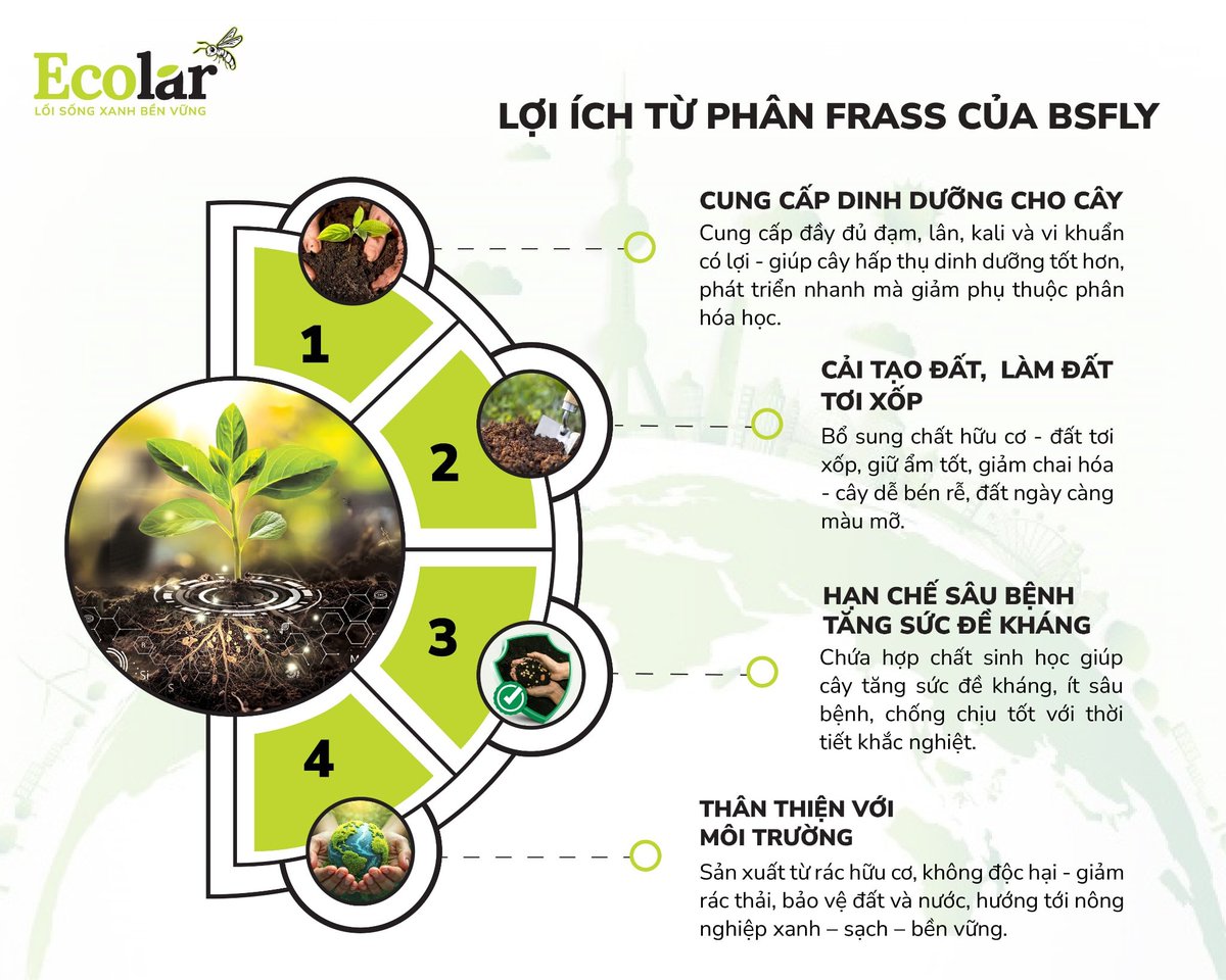 TranMinhEcolar's tweet photo. BSFly không chỉ nuôi cây, mà đang giúp đất hồi sinh từ bên trong 🌱💚 khi chọn đúng Frass, hành trình làm nông bền vững bắt đầu nhẹ nhàng và lâu dài hơn.
📘 Fanpage: https://t.co/jAUUdEMccG #Ecolar #Loisongxanhbenvung https://t.co/Oetlj1Hw0G