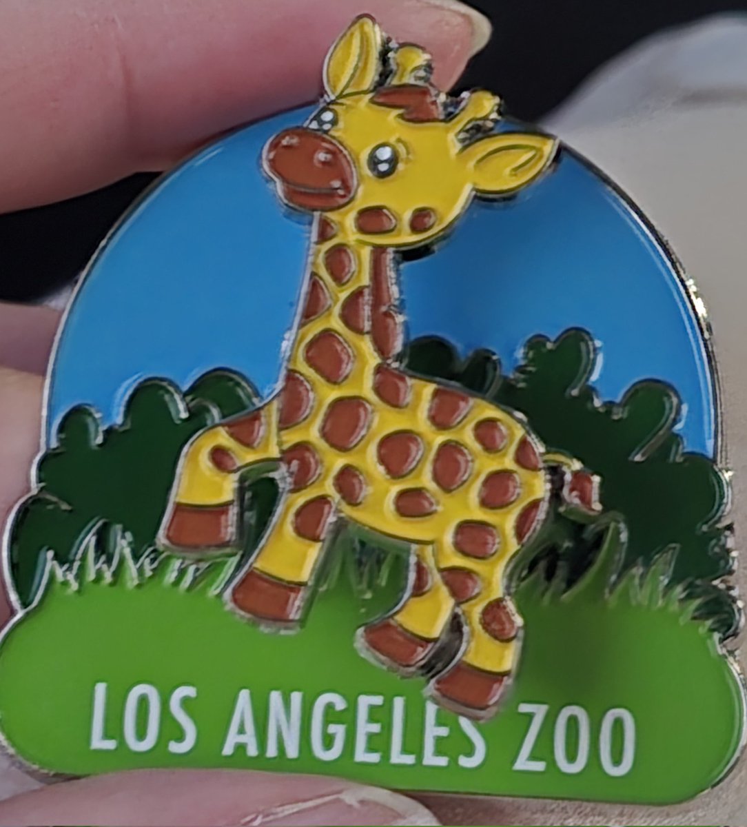 My husband and I both had the day off, so we took our son to the Zoo. No more elephants (they left for another zoo over the winter), and the langur exhibit was closed. The meerkats were nowhere to be found. But one of the seals was hanging out right near the glass, and following