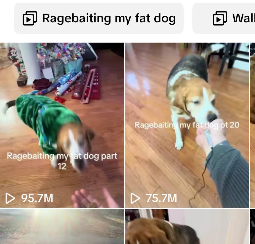 OGHananCalls's tweet photo. “ragebait” is Word of the year 2025

the most popular term right now

the ragebait dog is super viral on tiktok

ragebait + dog = millions

100 million views in one single video
and all other videos have millions of views

$AUWW 

Cpay81MdAuA8AcamjZes27PaQLfERbJAQUj1jppbar5C https://t.co/ZD8ezpNUEK