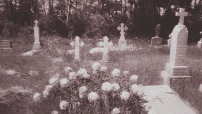 𝐭𝐡𝐞 𝐰𝐢𝐭𝐜𝐡. tweet media